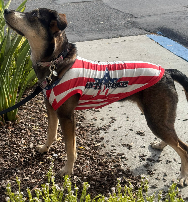 USA- Anti Woke Pets - Big Dog's Tank Top